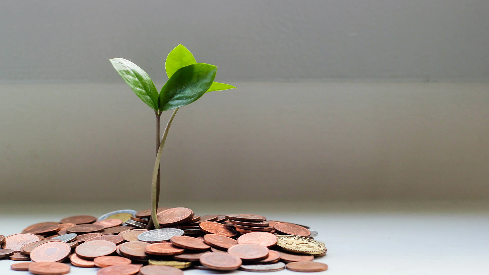 增值稅退稅讓前往南非的國際遊客受益希曼斯基