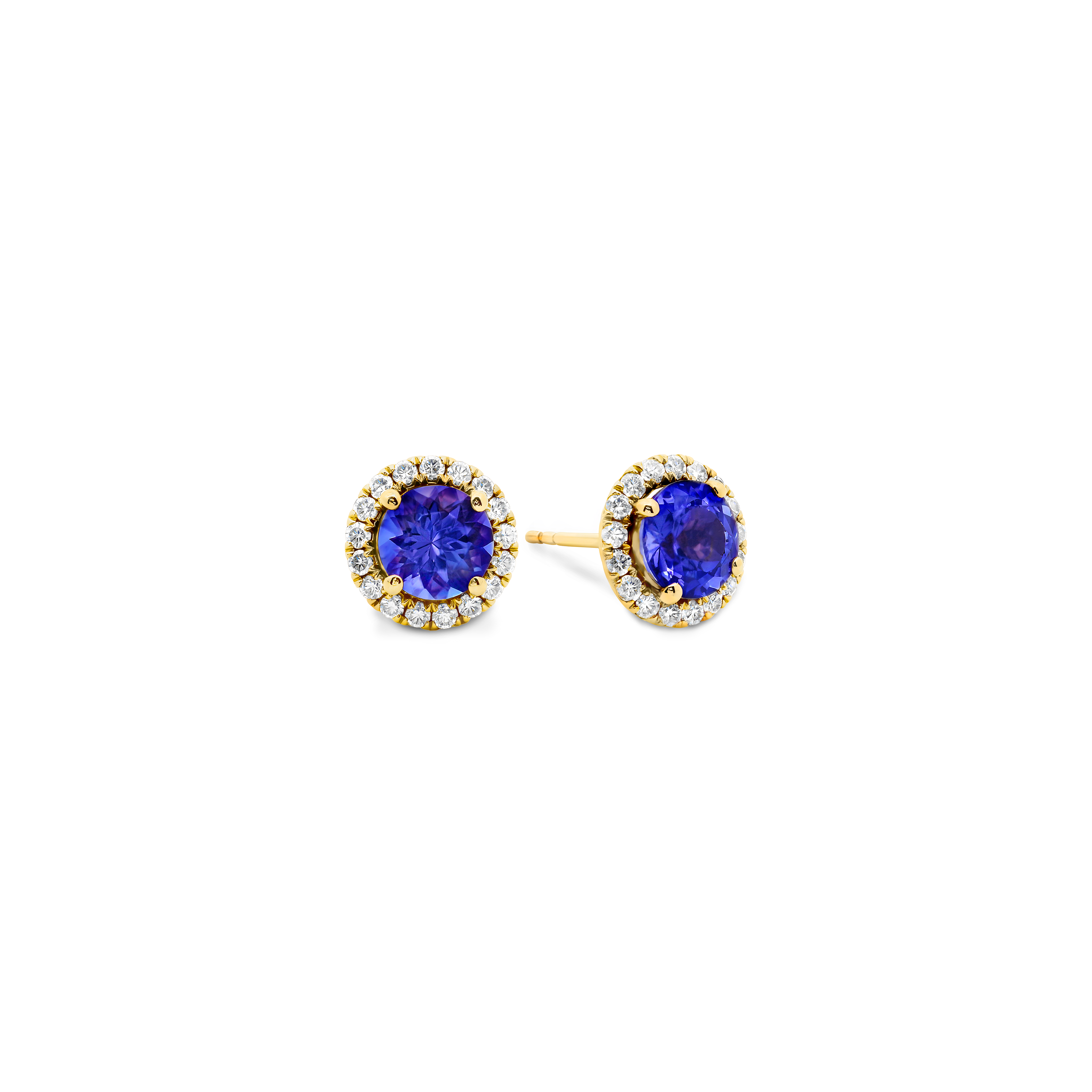 Tanzanite Halo Earrings - Shimansky Jewelry