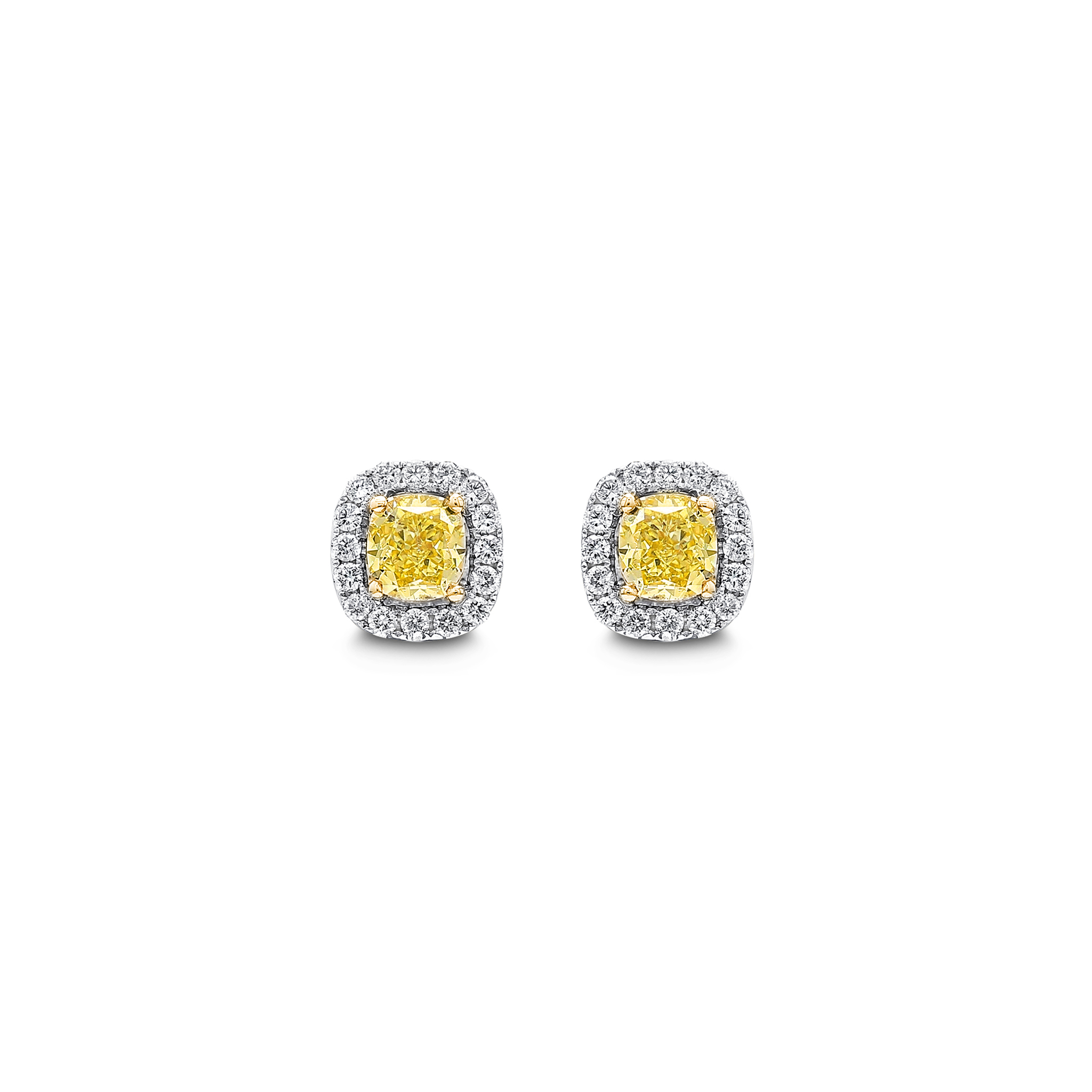 Shimansky 1.26 TCW Fancy Yellow Diamond Halo Earrings in 18K White & Yellow Gold Front View
