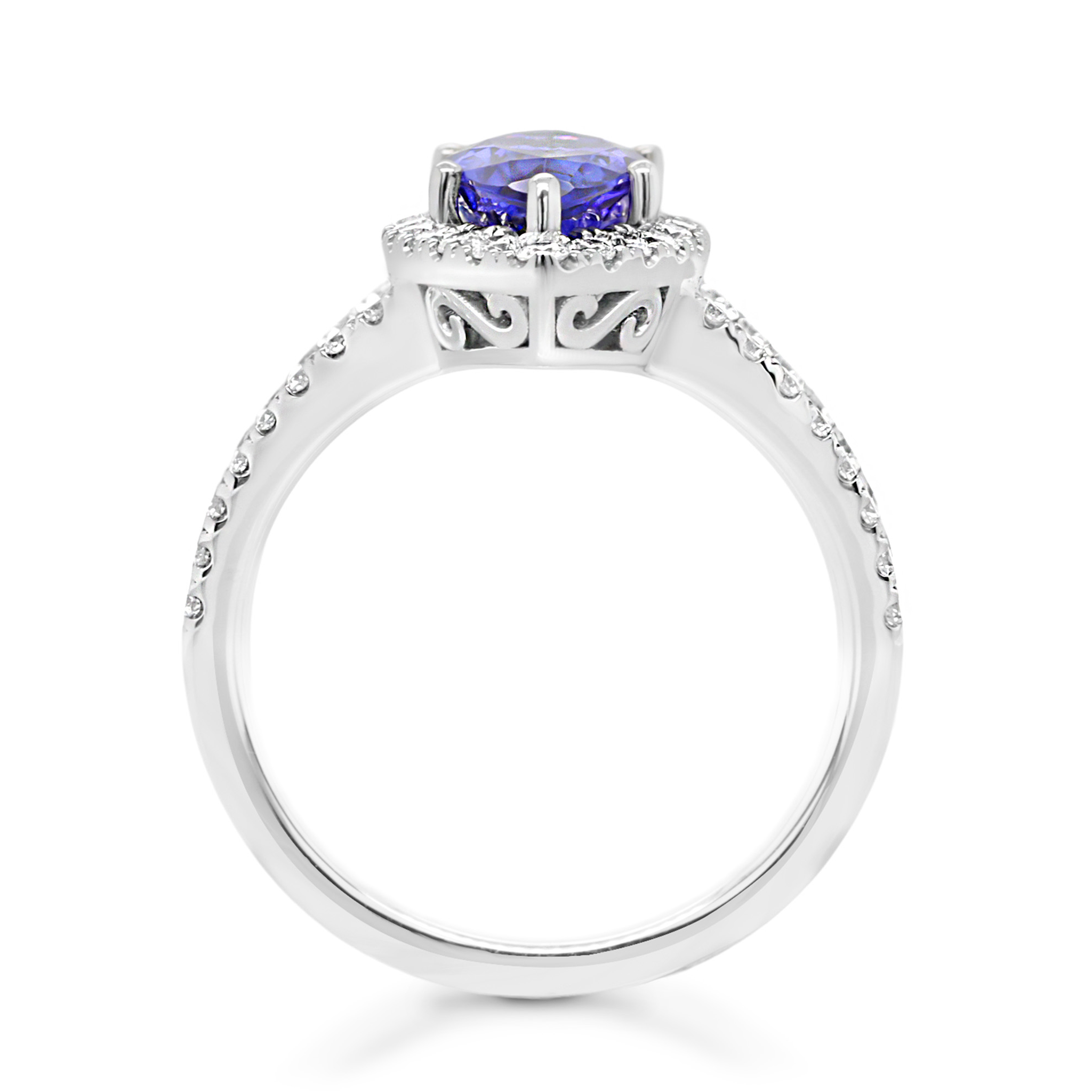 Shimansky 2.6ct Tanzanite Marquise Halo Dress Ring in 14K White Gold Side View