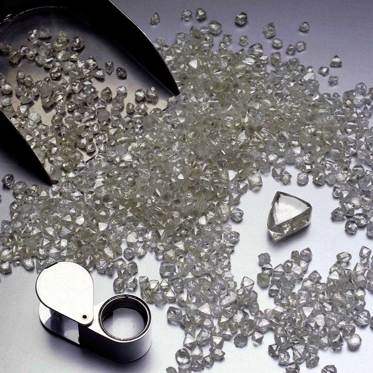Shimansky Jewellery sorting rough diamonds