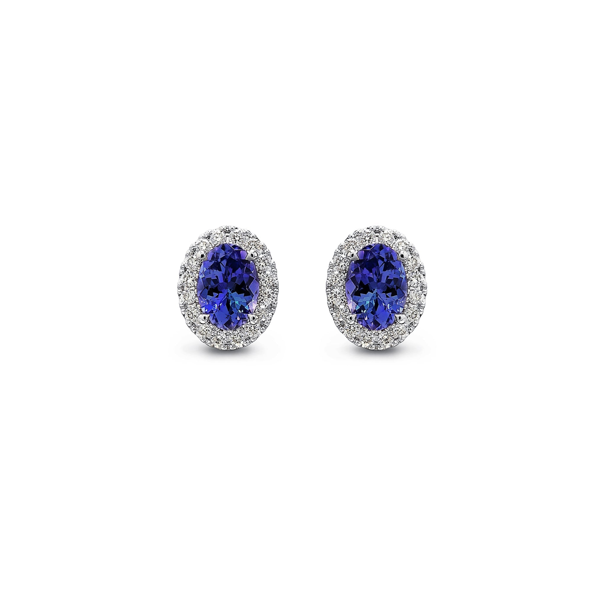 Tanzanite and Diamond Earrings - Front View - SHIMANSKY.CO.ZA