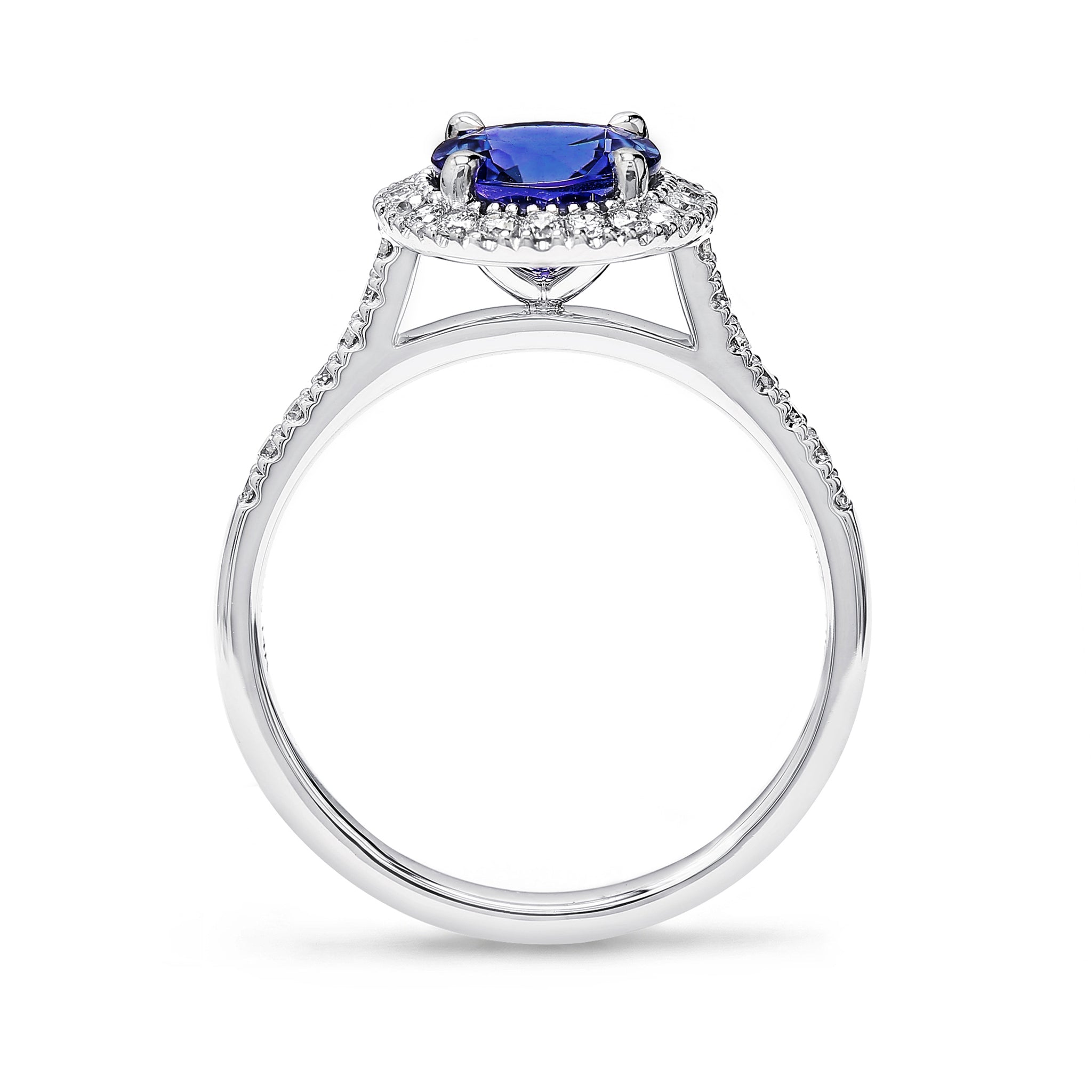 Microset Halo Tanzanite ring - SHIMANSKY.CO.ZA
