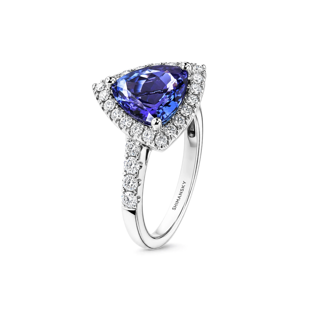Shimansky 3.5ct Trilliant Tanzanite Microset Halo Ring in 18K White Gold - 3D View #card-first #Metal_White Gold