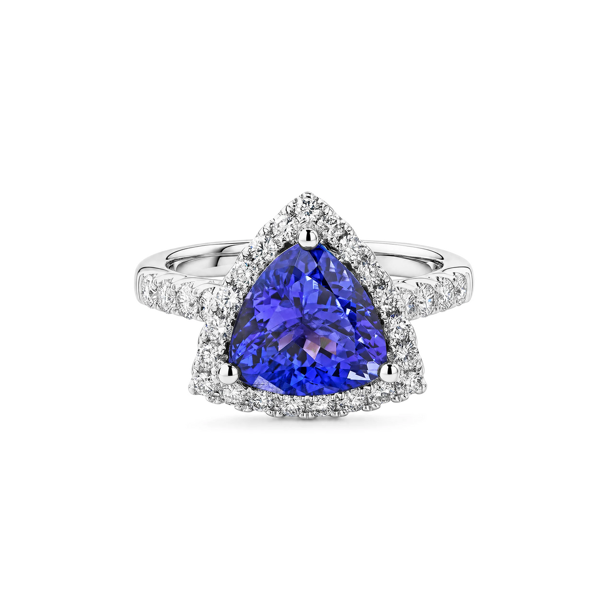 Shimansky 3.5ct Trilliant Tanzanite Microset Halo Ring in 18K White Gold - Front View #Metal_White Gold