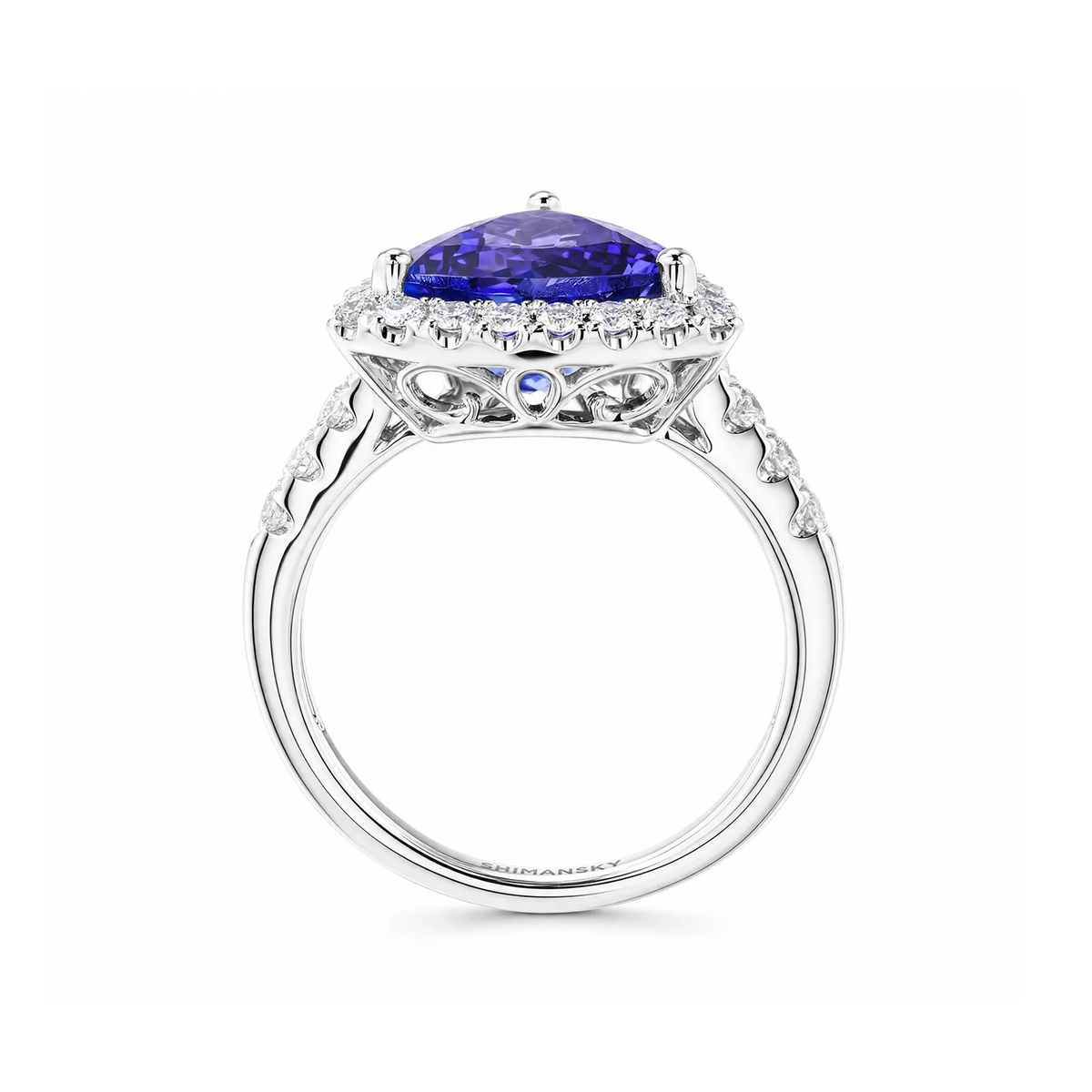Shimansky 3.5ct Trilliant Tanzanite Microset Halo Ring in 18K White Gold - Side View #Metal_White Gold