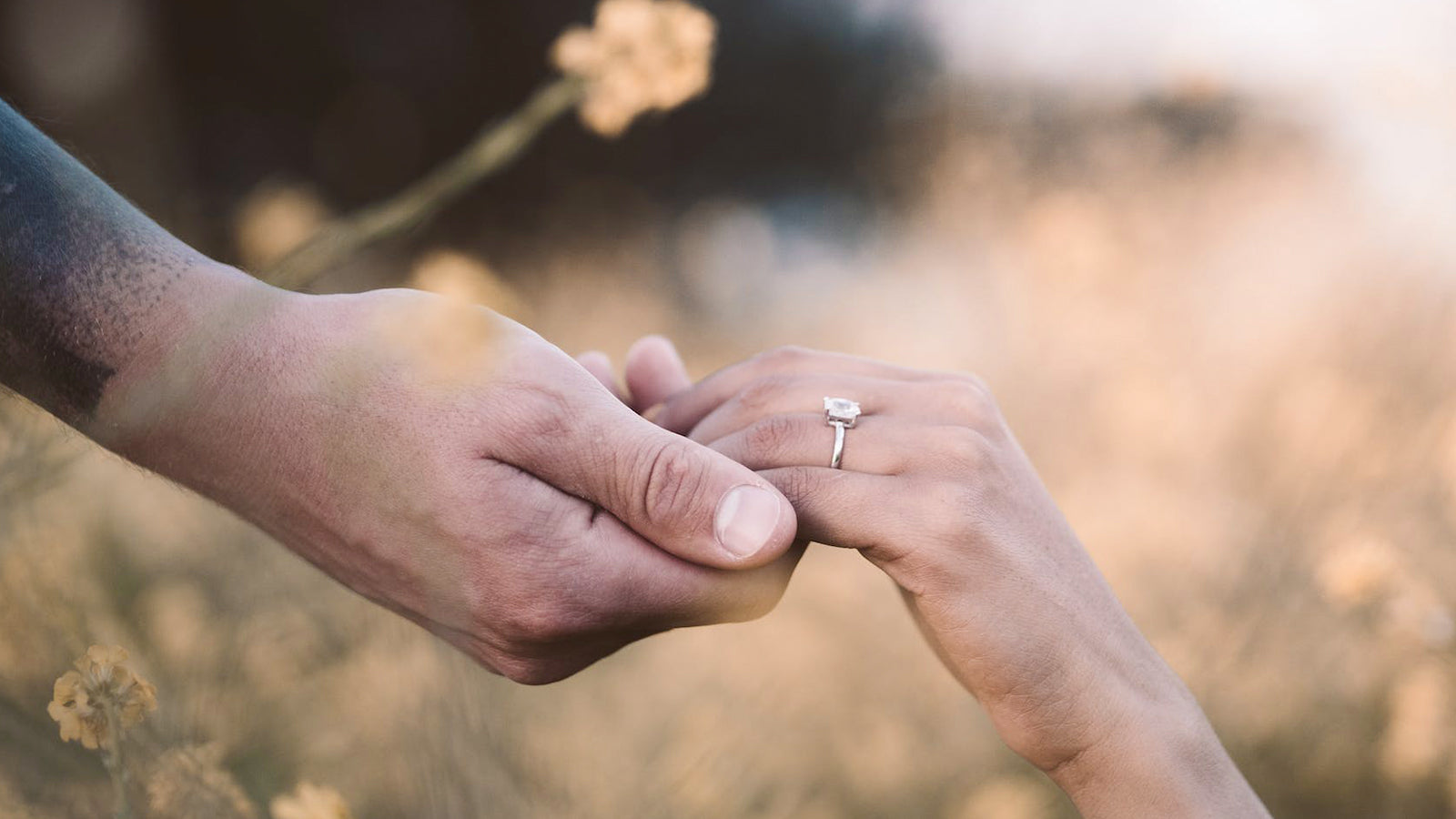 6 STEPS TO THE PERFECT PROPOSAL - SHIMANSKY.CO.ZA