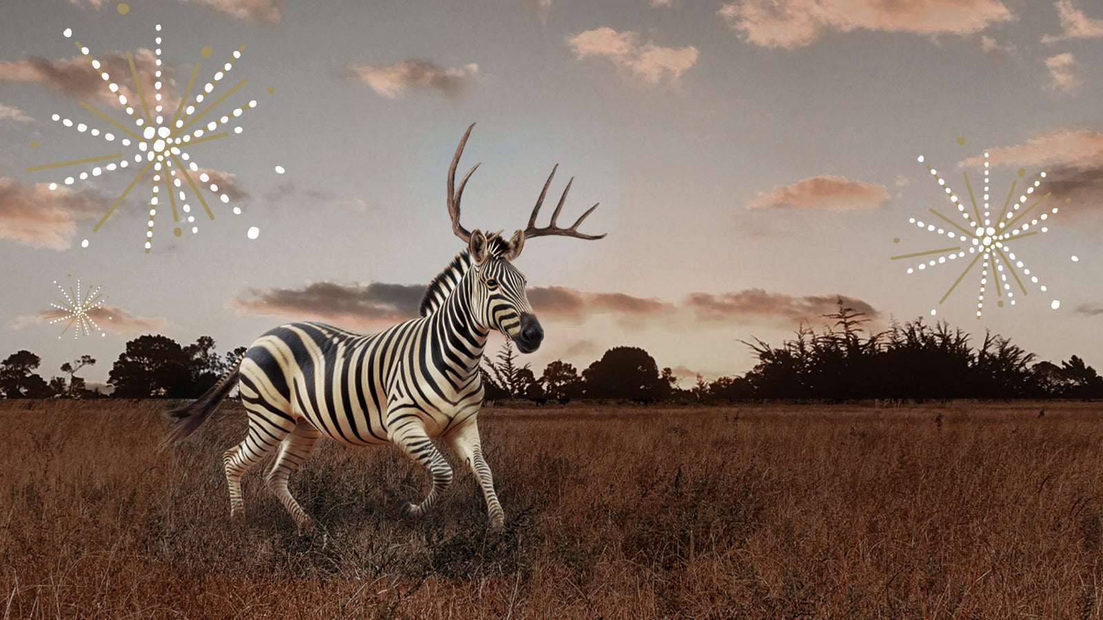 DESENVOLVENDO AS LENDAS DE ZEBDEER: DIAMANTES SHIMANSKY & OS ECOS DA RARIDADE