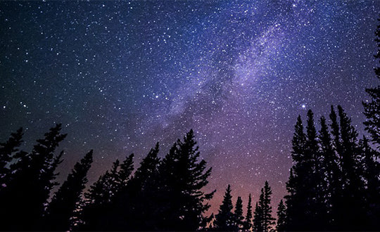 A breathtaking view of the Milky Way arching over silhouetted trees under a starry night sky.