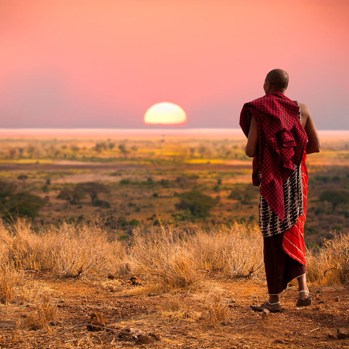 A lone figure traverses the endless sands of the desert, embodying resilience against the sun-drenched landscape.