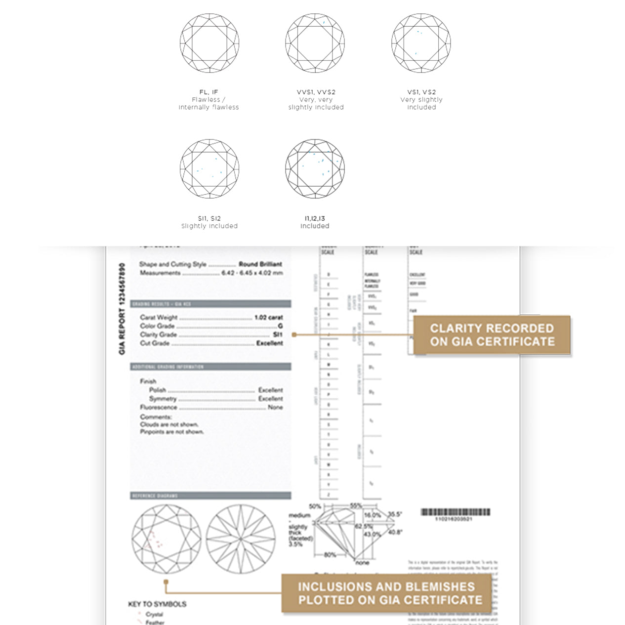 A detailed diagram showcasing various diamond types, highlighting their unique shapes and characteristics in an elegant design.