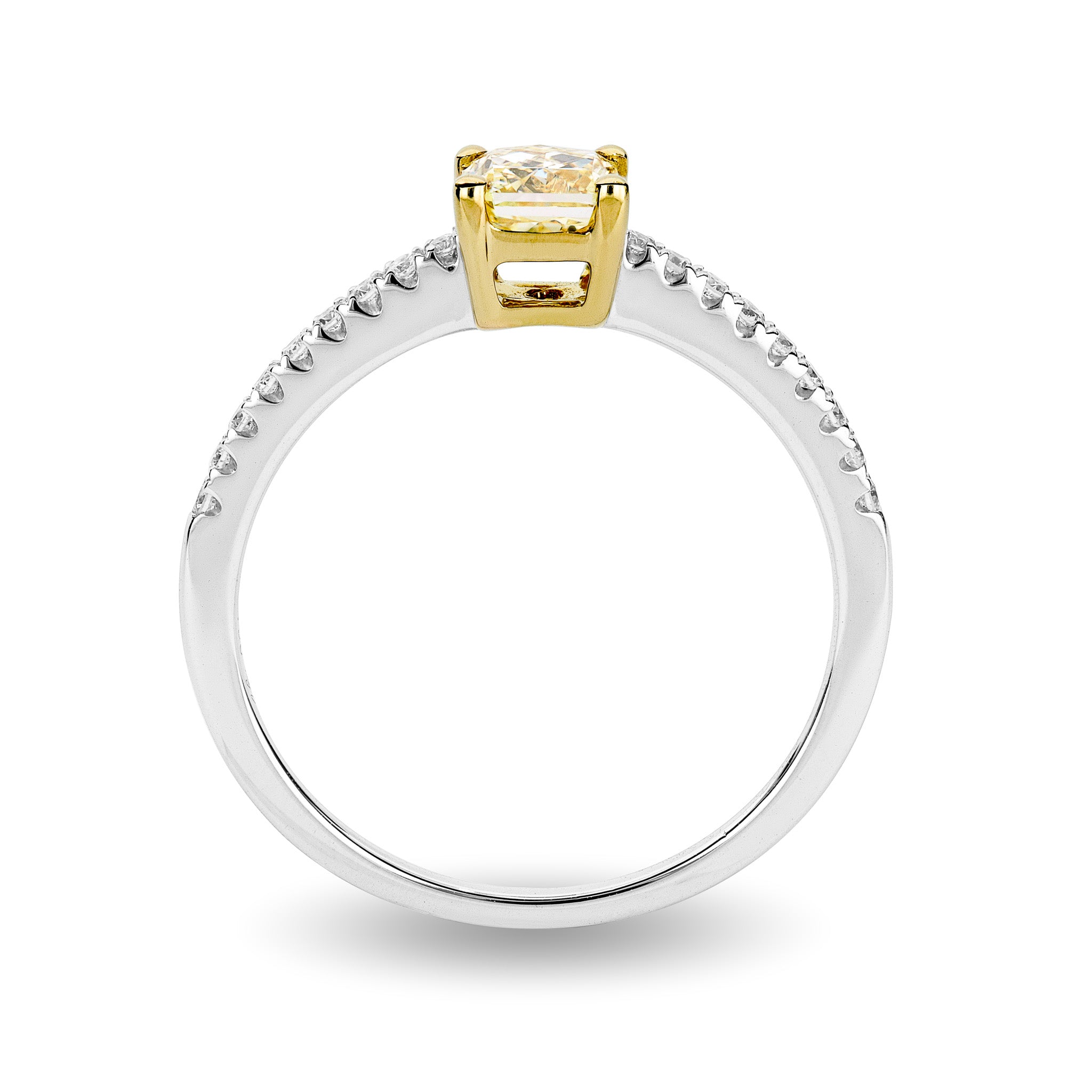 Yellow Diamond My Girl Microset Ring 0.50 Carat | 18K White Gold - SHIMANSKY.CO.ZA