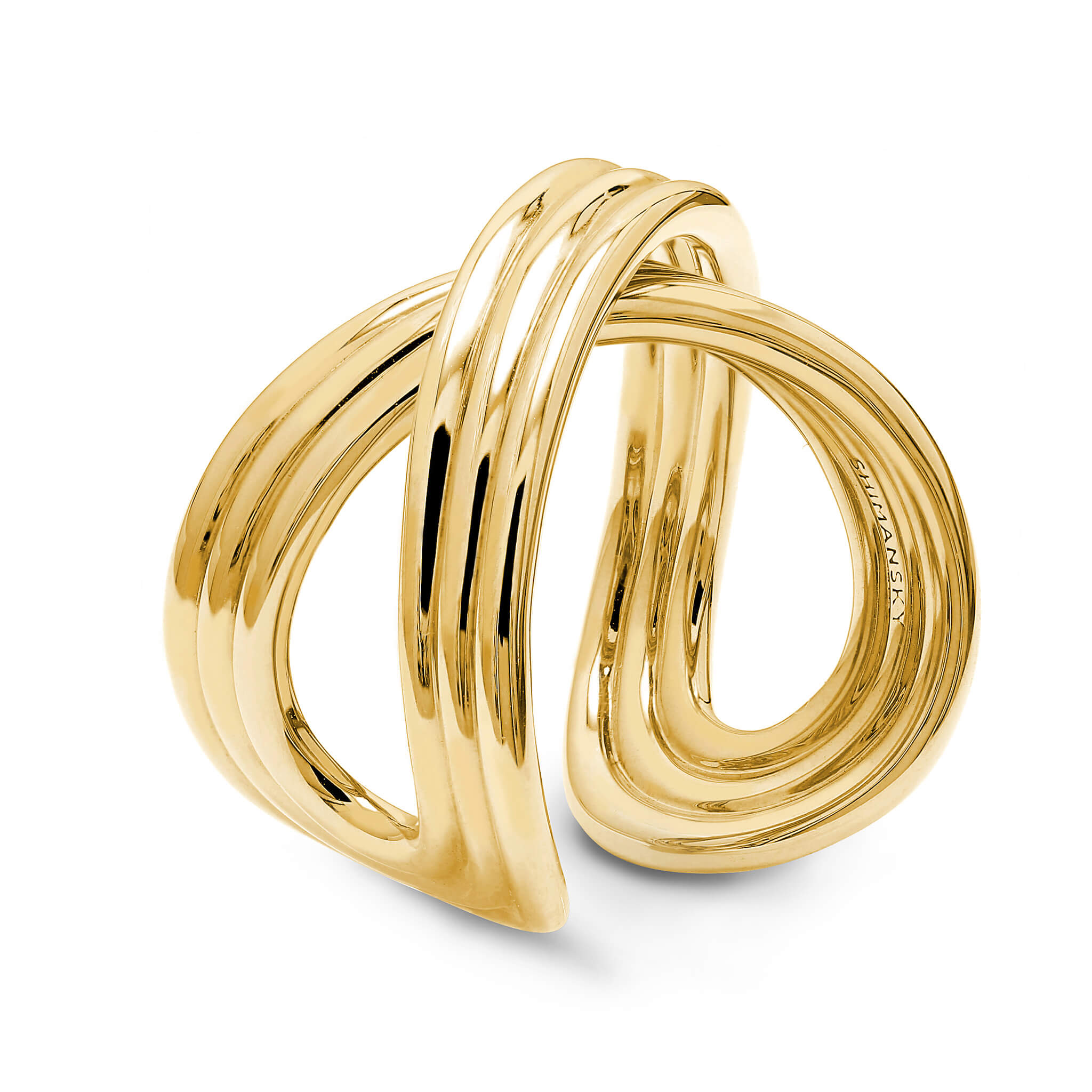 Infinity Fluet Ring in 18K Yellow Gold 3D View