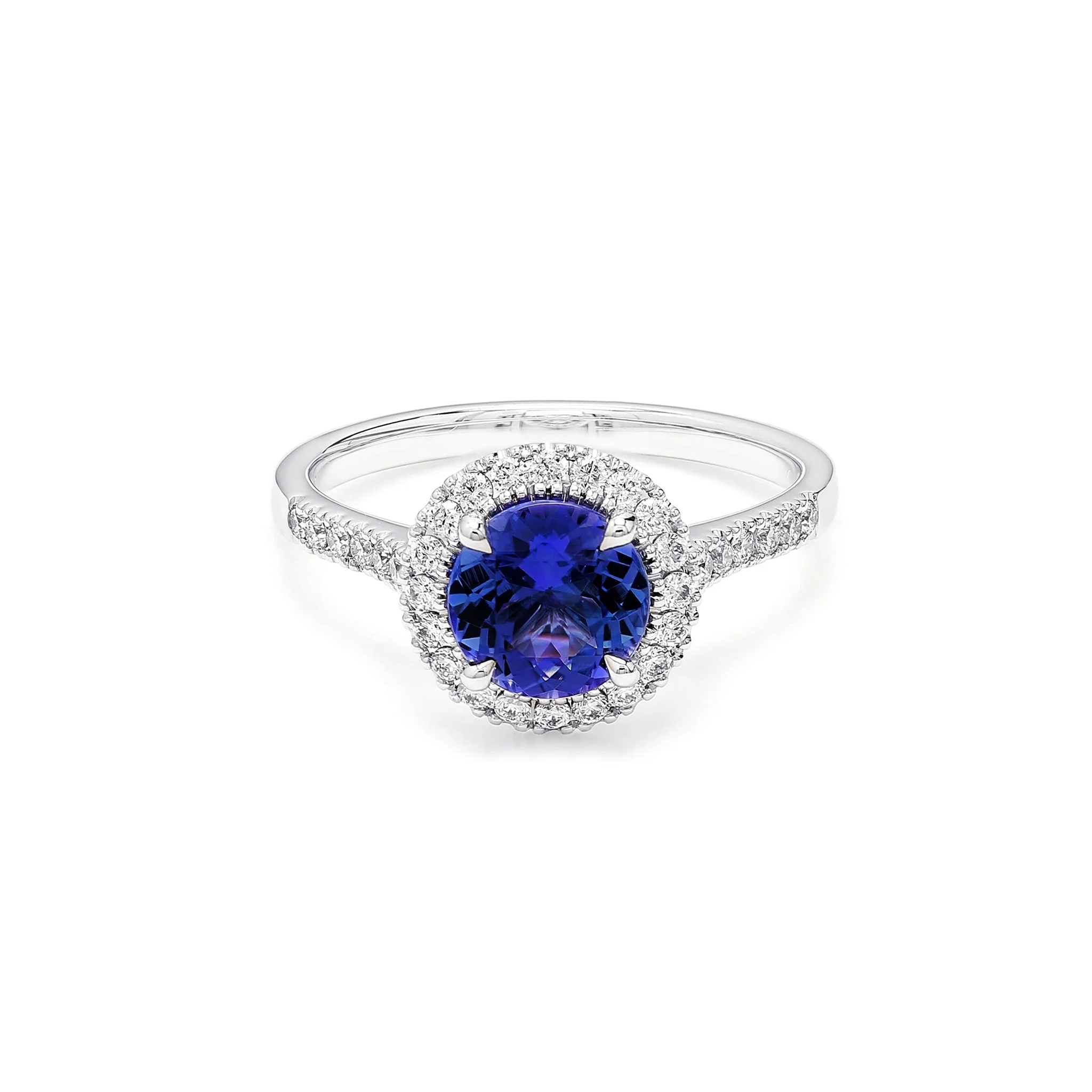Shimansky 1.3 TCW Microset Halo Tanzanite Ring 14K White Gold Front View