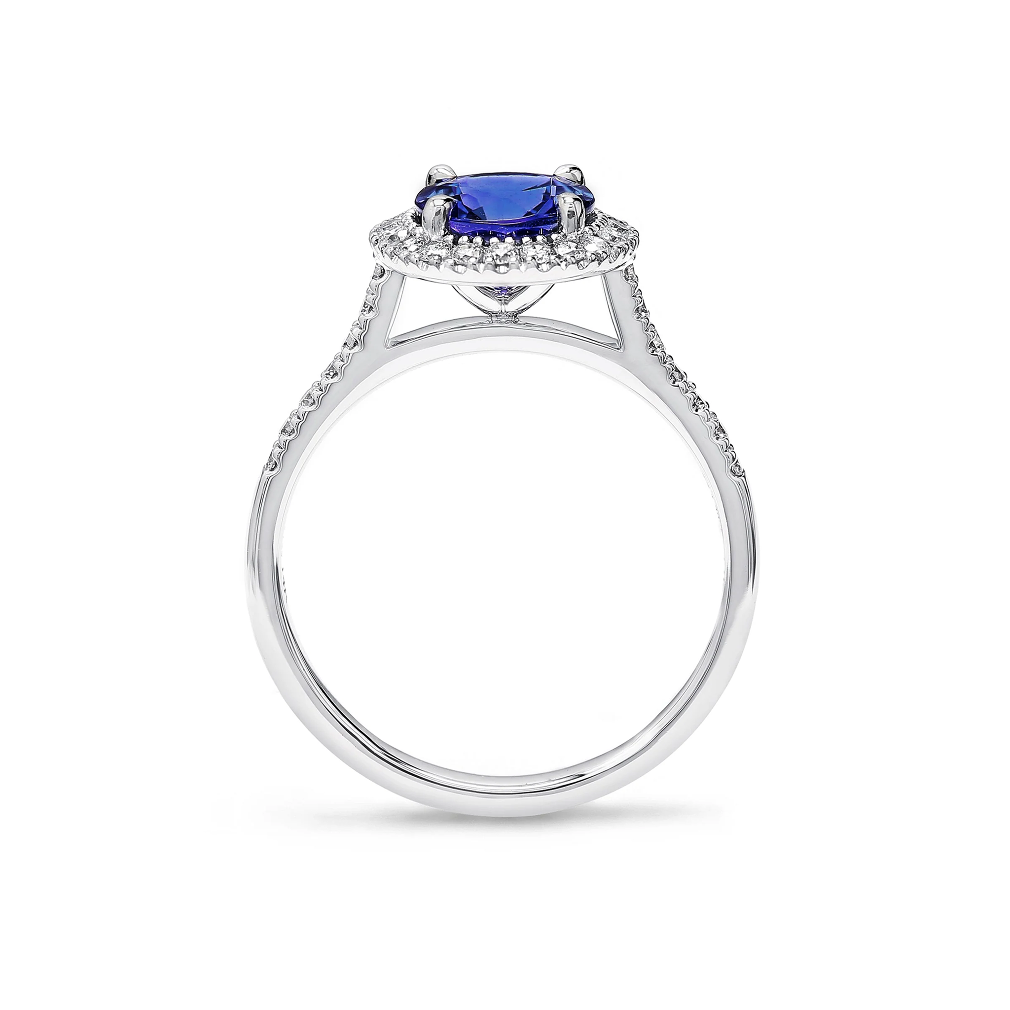 Shimansky 1.3 TCW Microset Halo Tanzanite Ring 14K White Gold Side View