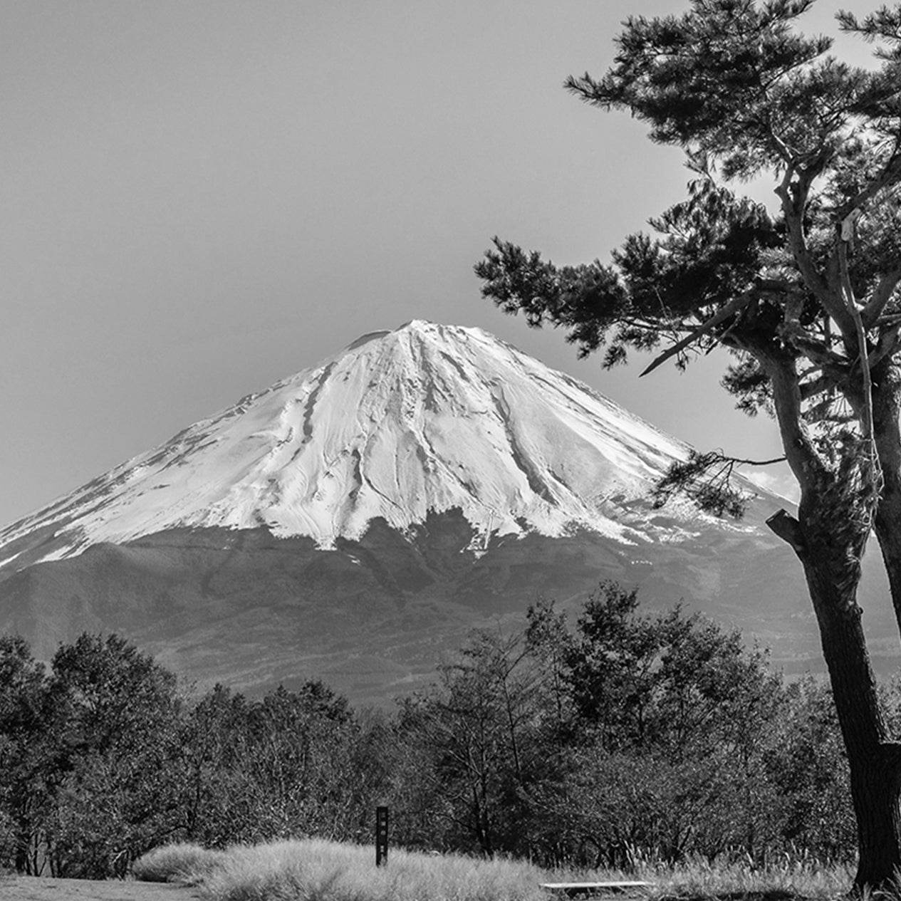 Mount Fuji covered in snow