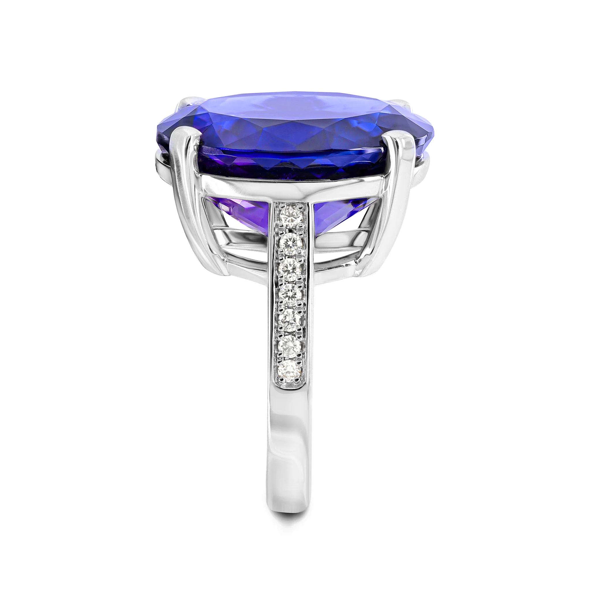 Shimansky 20.3ct Oval Tanzanite & Diamond Dress Ring in 18K White Gold - Profile View