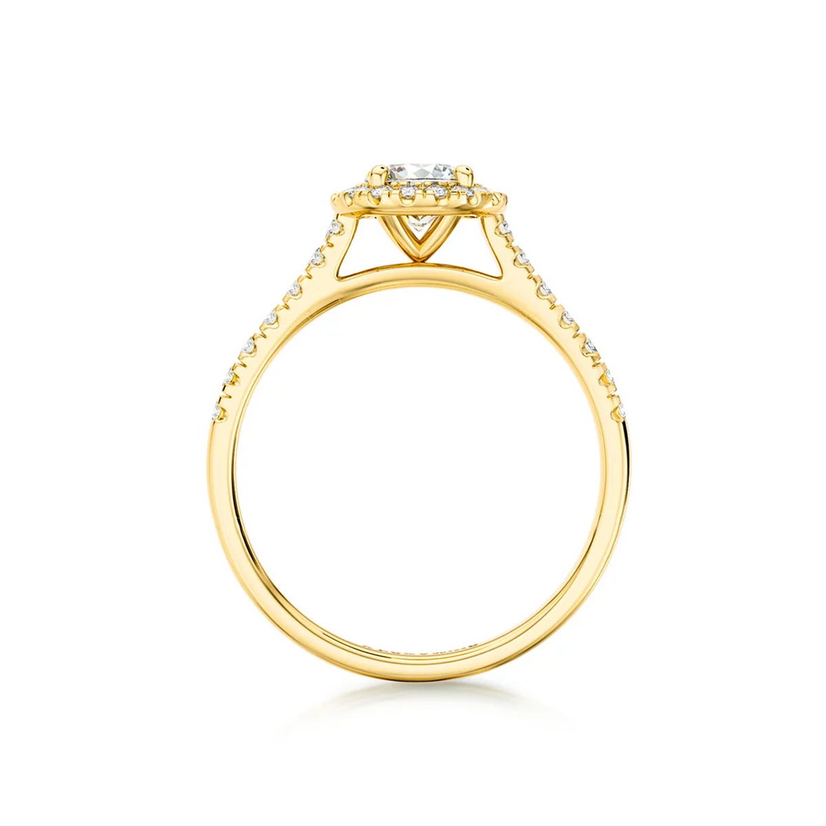 Shimansky Round Diamond Microset Halo Engagement Ring 18K Yellow Gold - Side View #Metal_Yellow Gold  #Carat Weight_0.5