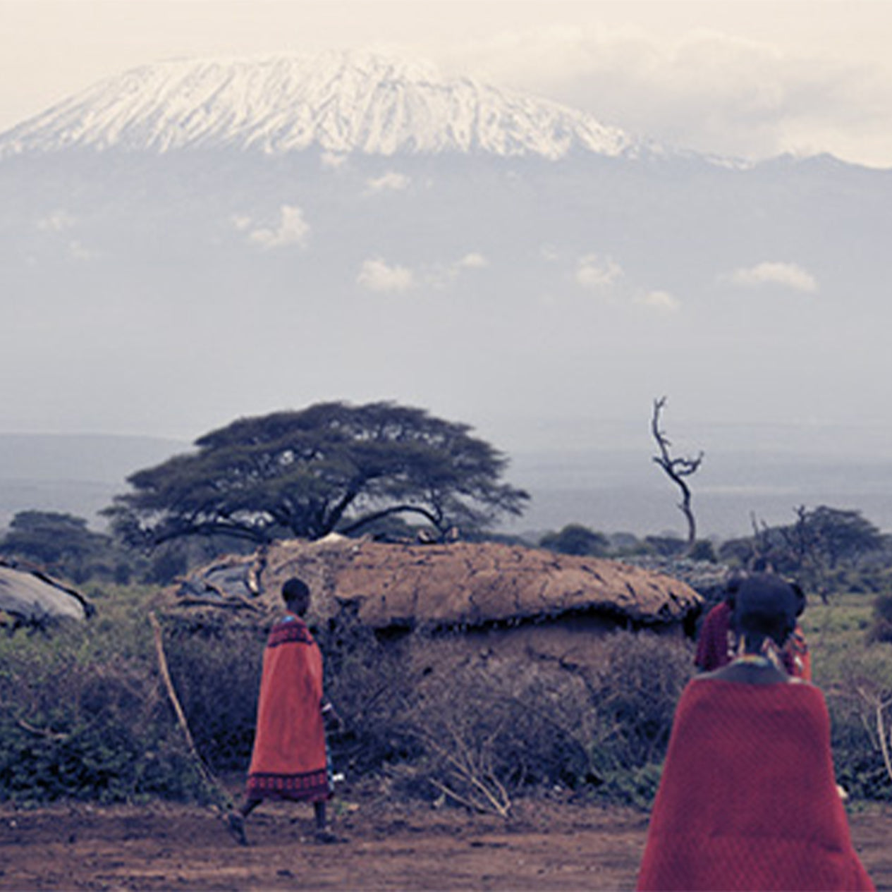 A diverse group of individuals strolling along a rustic dirt path, surrounded by nature's serene beauty.