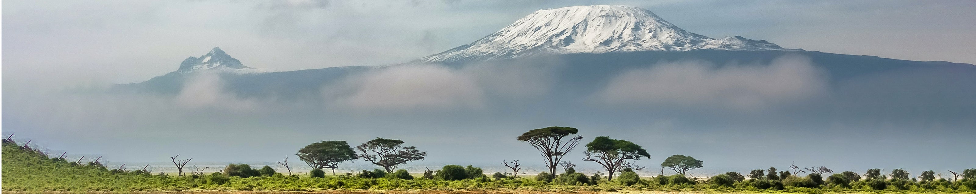 Majestic Mount Kilimanjaro rises above the Tanzanian landscape, a breathtaking symbol of Africa's natural beauty.