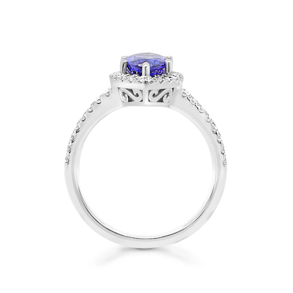 Shimansky 2.6ct Tanzanite Marquise Halo Dress Ring in 14K White Gold Side View