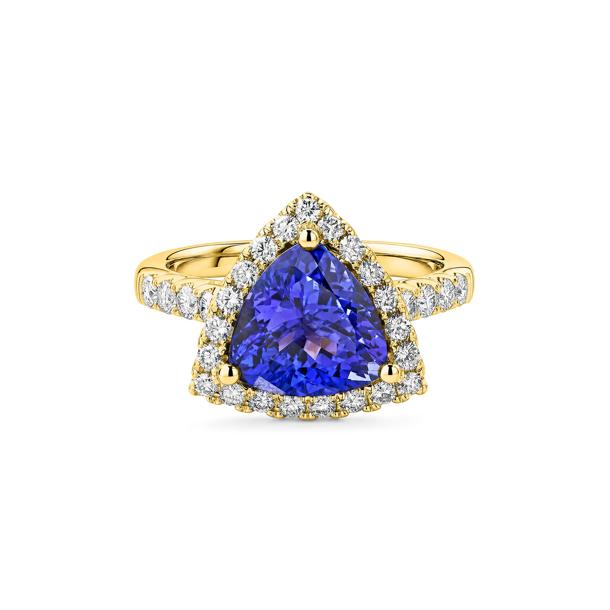 Shimansky 3.5ct Trilliant Tanzanite Microset Halo Ring in 18K Yellow Gold - Front View #Metal_Yellow Gold