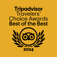 Iconic Tripadvisor Travelers' Choice Awards: Celebrating the best of the best in travel experiences and destinations.