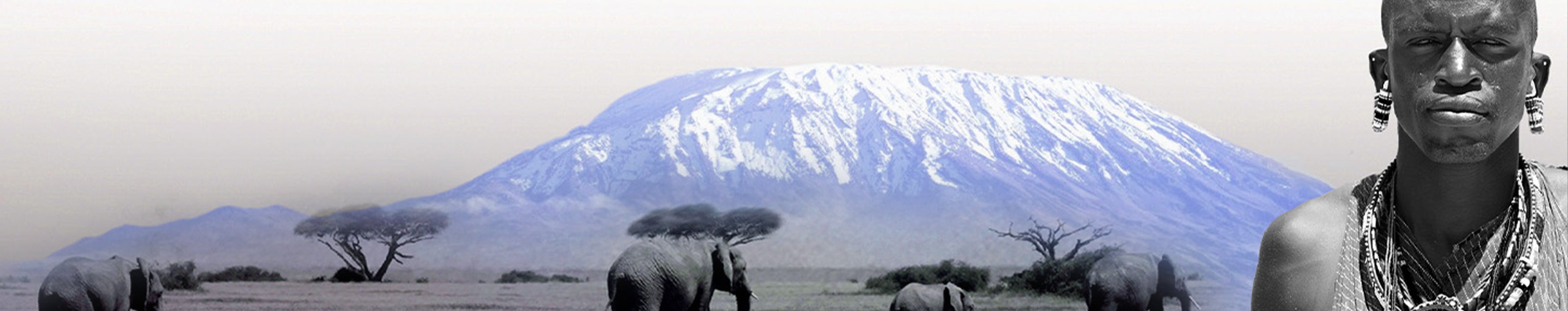 A man standing before majestic mountains, accompanied by elephants, embodying the beauty of Tanzanite's allure.