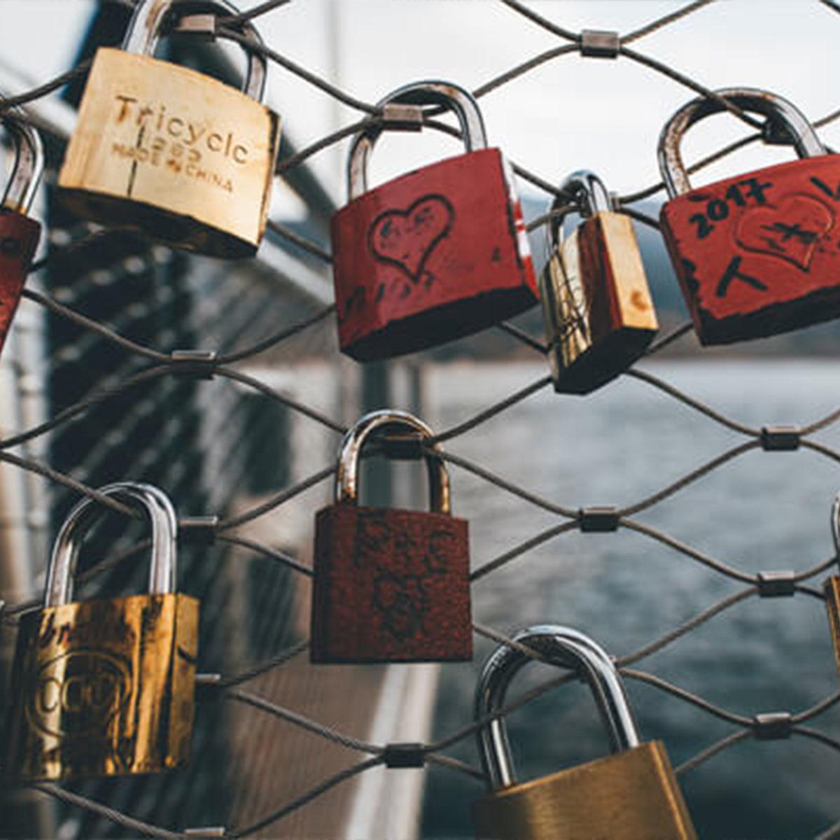 Locks on a fence showing infinite love