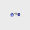 Shimansky 1 TCW Tanzanite Solitaire Earrings in 14K White Gold 360 Video